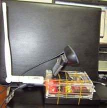 使用树莓派制作近距离遥控摄像机（无线网卡+摄像头，手机或平板等移动终端控制）